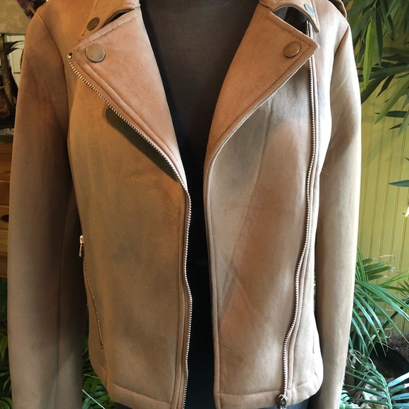 Jacket - Picture 6 of 6